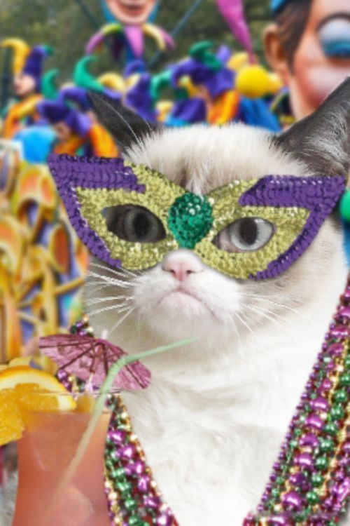 maquillage carnaval chat